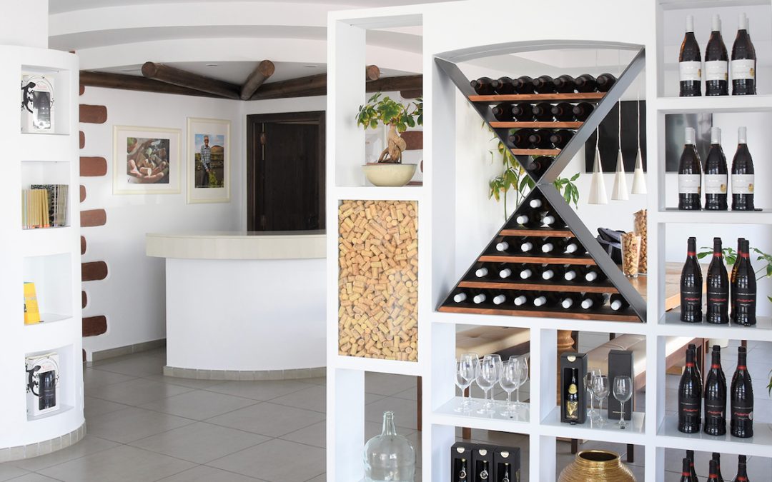Bodega Vulcano