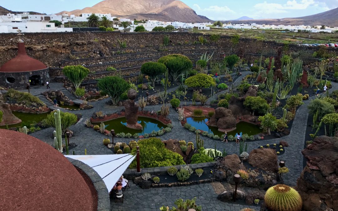 Jardín de Cactus