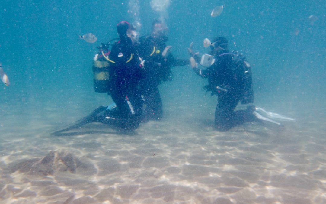 Safari Diving Lanzarote