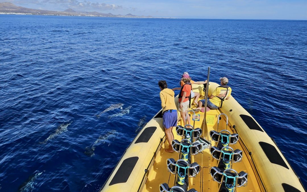 Waverider Lanzarote